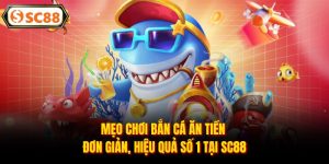 Mẹo Chơi Bắn Cá Ăn Tiền Đơn Giản, Hiệu Quả Số 1 Tại SC88